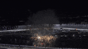 Nascar Racing Sport GIF by NASCAR