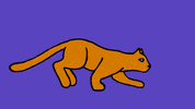 NyahooStudio cat animation cartoon animated GIF