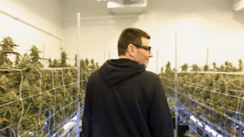 Plant Wow GIF by Exclusive Brands