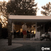 season 1 showtime GIF by Ray Donovan