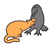 vmumok cat crow vmumok vmumokhug Sticker