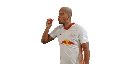 Happy Birthday Football Sticker by RB Leipzig