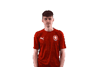 Hat Fifa Sticker by 2score