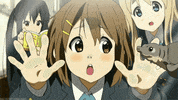 k on turtles GIF