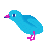 Bird Duck Sticker by JAVI CARRASCO