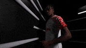 Point Up Germany GIF by Bundesliga