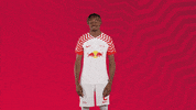 Happy Its Me GIF by RB Leipzig