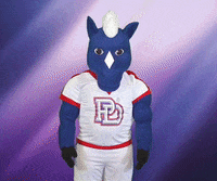 Take A Bow GIF by Providence Day School