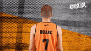 Sport Basketball GIF by Basket_fi