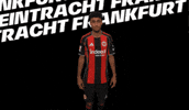 Lets Go Goal GIF by Eintracht Frankfurt