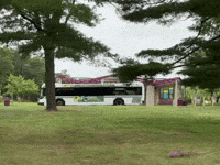 Ccri GIF by Community College of Rhode Island