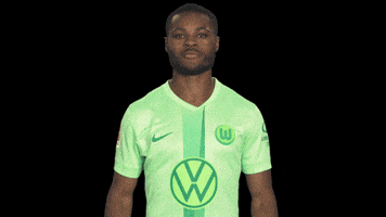 Germany Win GIF by VfL Wolfsburg