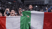 Marvin Vettori Sport GIF by UFC