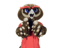 Fau Owls Sticker by Florida Atlantic University