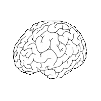head brain Sticker by Ilze Ance