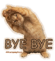 bye STICKER