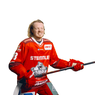 Goal Win Sticker by Eisbären Regensburg