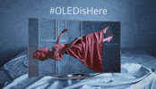 lg GIF