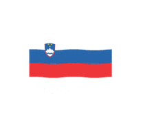 Flag Go Sticker by Rokometna zveza Slovenije
