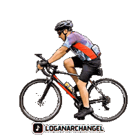 Bike Winning Sticker