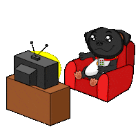 Staffordshire Bull Terrier Staffy Sticker by SBT1935