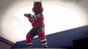 Hockey Mascot GIF by NJ Devil