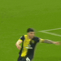 Happy Premier League GIF by AFC Bournemouth