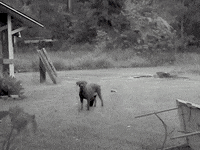 Music Video Friends GIF by bLAck pARty