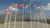Otan GIF by NATO