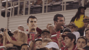 florida atlantic fau football GIF by FAU Athletics
