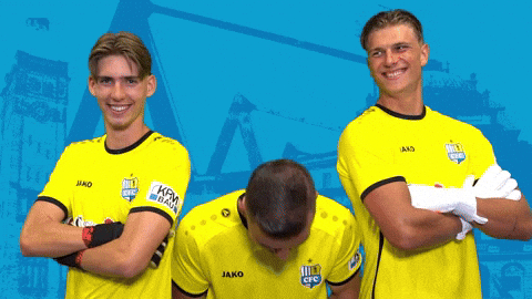 Football Goalkeeper GIF by ChemnitzerFC