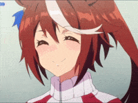 Horse What GIF