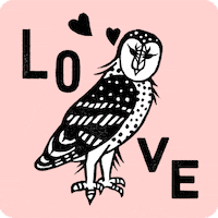 Birds Love GIF