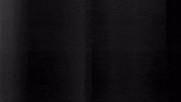 Football Sport GIF by SK Sturm Graz