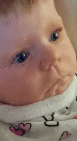 WWA69fartz giphygifmaker GIF