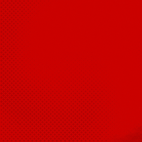 Bayer 04 Bundesliga GIF by Bayer 04 Leverkusen