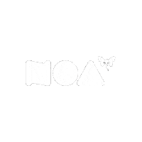 noabeachclub butterfly noa zrce zrce beach Sticker
