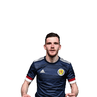 Euro 2020 Football Sticker by UEFA