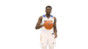 Dance Basketball Sticker by Delaware Blue Hens