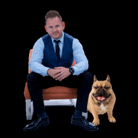 SeanMcCoyMortgageTeam realestate doug homebuying mortgageteam GIF