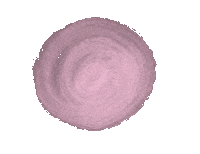 polamagazin point rosa kreis punkt Sticker