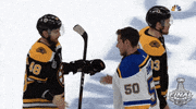 ice hockey sport GIF by NHL
