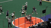 NewYorkRiptide new york lacrosse nll riptide GIF
