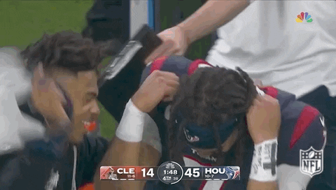 Houston Texans Football GIF by NFL