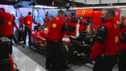 Laugh Smile GIF by Formula Santander