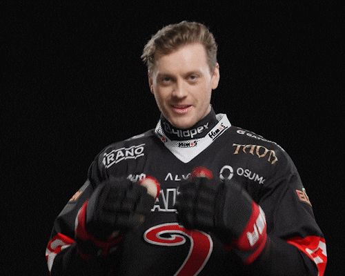 Hockey Liiga GIF by JYP