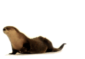 otter cute animals STICKER
