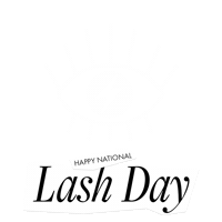 Makeup Lash Sticker by Borboleta Beauty