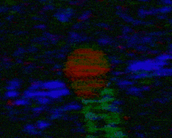 out of this world glitch GIF by CAPITALWASTE