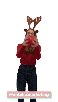 Christmas Reno Sticker by AnteliaMarketing